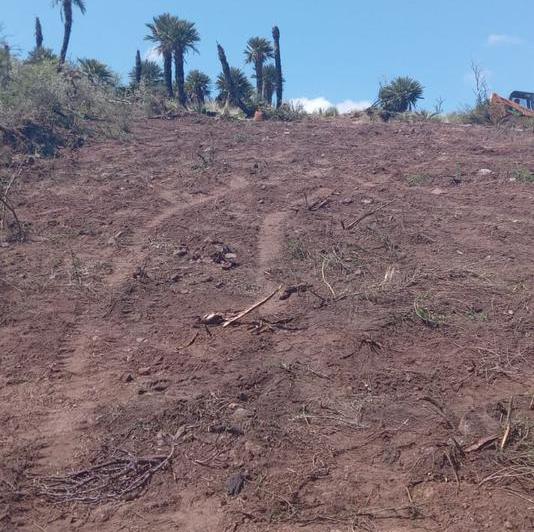 Lote en Papagayos — Papagayos. Dpto. Chacabuco. Provincia de San Luis — Venta, foto 7 de 8