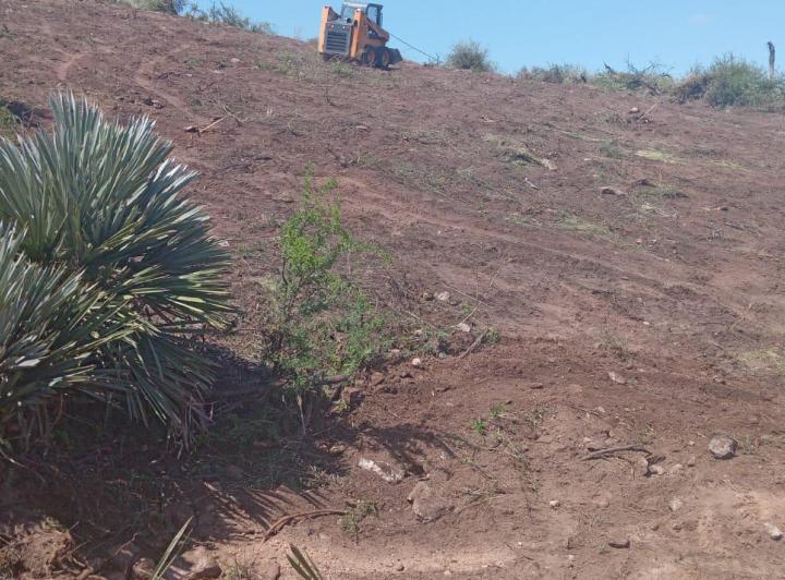 Lote en Papagayos — Papagayos. Dpto. Chacabuco. Provincia de San Luis — Venta, foto 8 de 8