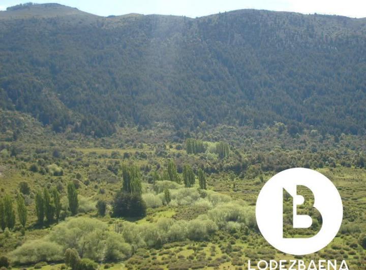 Campo en La Cuesta del Ternero — Ruta Provincial 6 — Venta, foto 2 de 8