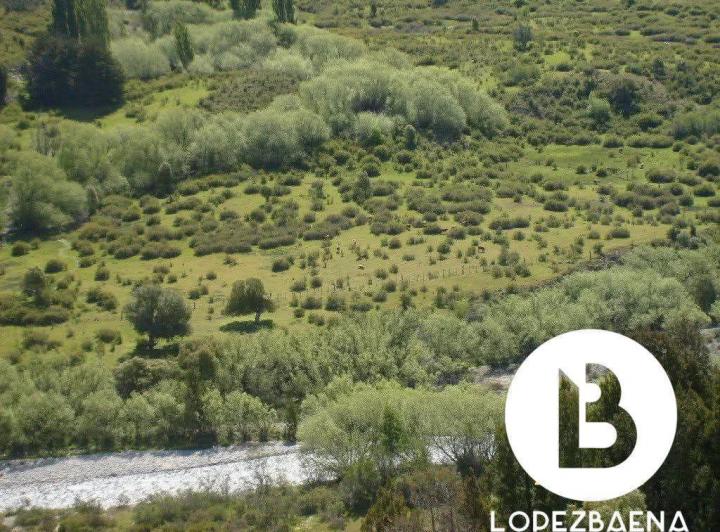 Campo en La Cuesta del Ternero — Ruta Provincial 6 — Venta, foto 3 de 8