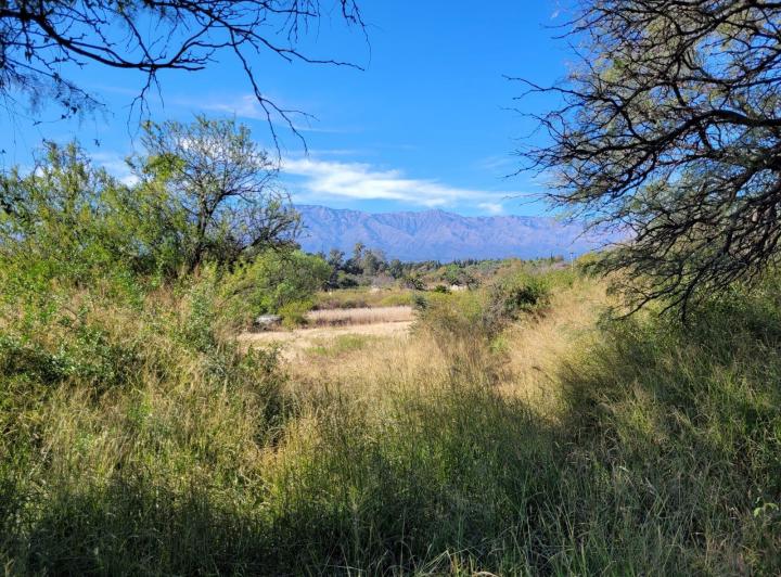 Lote en Villa de Las Rosas — Villa de Las Rosas Traslasierra Córdoba — Venta, foto 3 de 8