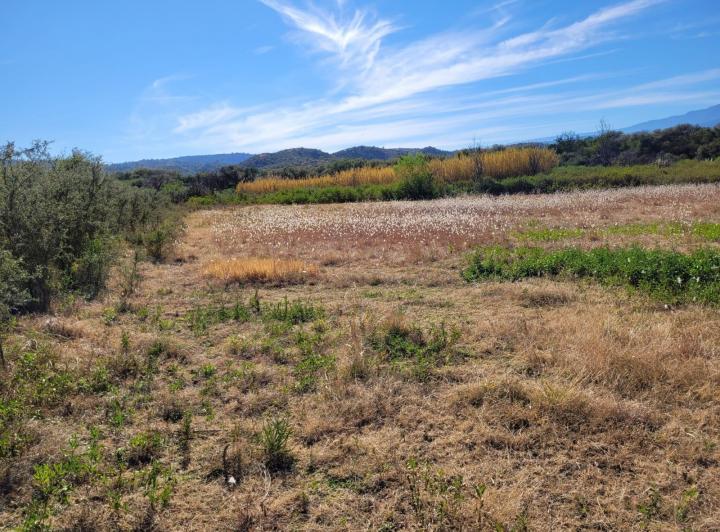 Lote en Villa de Las Rosas — Villa de Las Rosas Traslasierra Córdoba — Venta, foto 4 de 8
