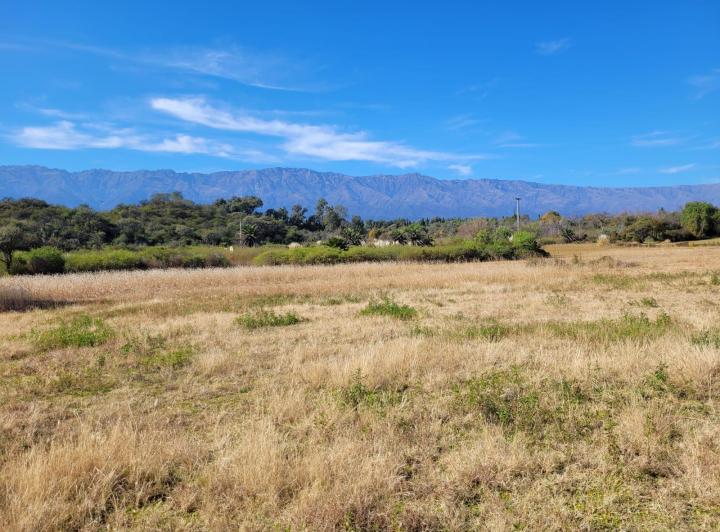 Lote en Villa de Las Rosas — Villa de Las Rosas Traslasierra Córdoba — Venta, foto 6 de 8
