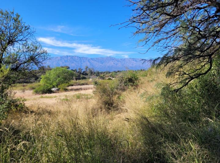 Lote en Villa de Las Rosas — Villa de Las Rosas Traslasierra Córdoba — Venta, foto 7 de 8