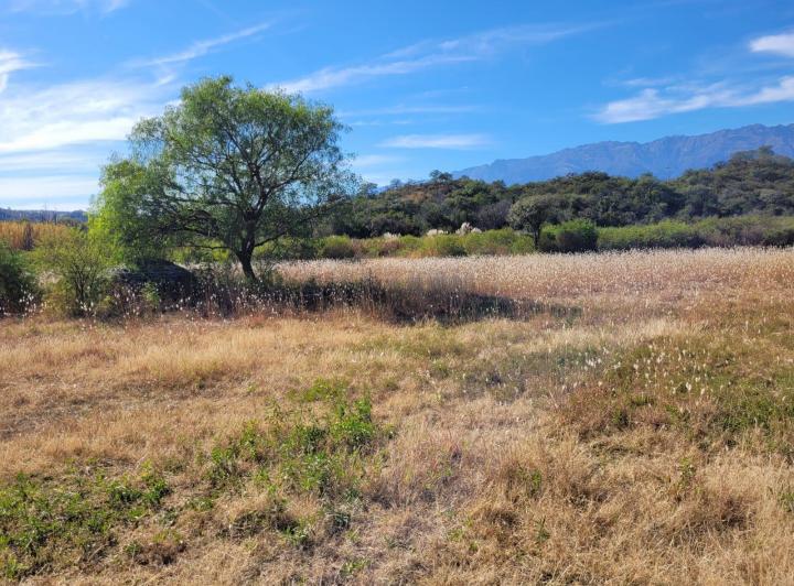 Lote en Villa de Las Rosas — Villa de Las Rosas Traslasierra Córdoba — Venta, foto 8 de 8