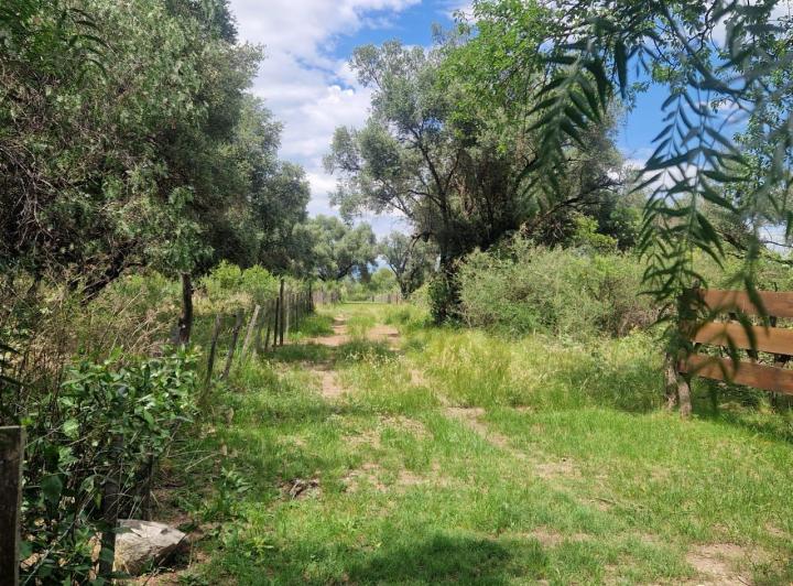 Casa en Venta en San Javier Cerca de La Plaza Traslasierra! — Casa en Venta en San Javier Cerca de la Plaza Traslasierra!! — Venta, foto 2 de 8