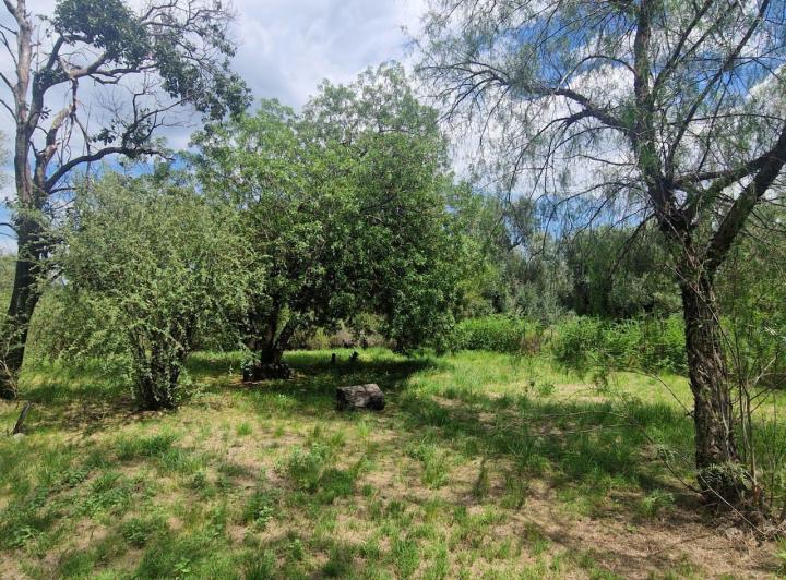 Casa en Venta en San Javier Cerca de La Plaza Traslasierra! — Casa en Venta en San Javier Cerca de la Plaza Traslasierra!! — Venta, foto 6 de 8