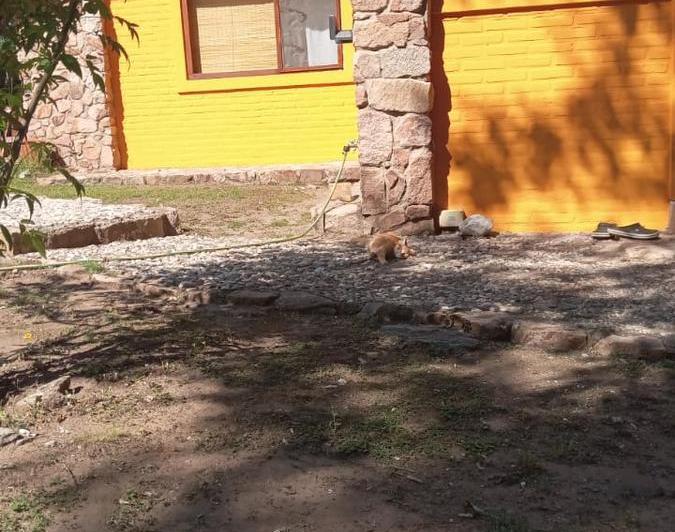 Casa 5 ambientes en San Javier — TU Casa Soñada !! EN SAN Javier !! Traslasierra !! — Venta, foto 5 de 8