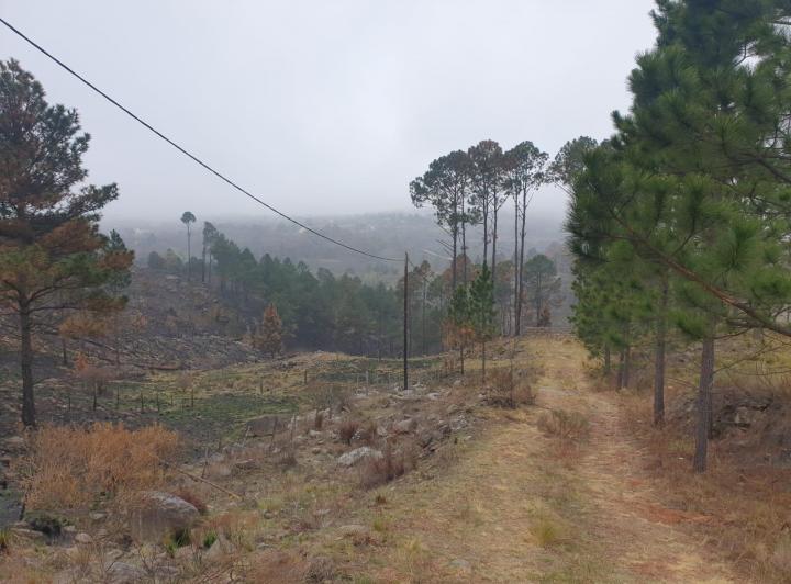 Lote en Villa Yacanto — Yacanto Calamuchita, Calamuchita — Venta, foto 1 de 8