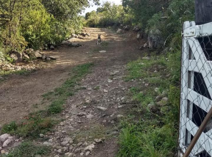 Casa 3 amb en San Javier — Venta Oportunidad!! 5 Hectareas con 3 Cabañas en Achiras Arriba, Traslasierra!! — Venta, foto 8 de 8