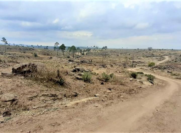 Lote en Yacanto de Calamuchita — Yacanto de Calamuchita. CBA — Venta, foto 2 de 8