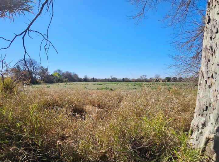Lote en Colonia Caroya — Colonia Caroya, a 4 Cuadras del Supermercado "mami Dino¨. — Venta, foto 3 de 8