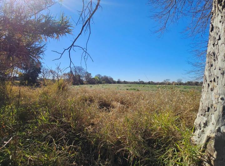 Lote en Colonia Caroya — Colonia Caroya, a 4 Cuadras del Supermercado "mami Dino¨. — Venta, foto 4 de 8