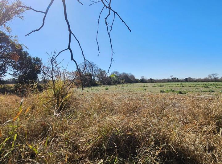 Lote en Colonia Caroya — Colonia Caroya, a 4 Cuadras del Supermercado "mami Dino¨. — Venta, foto 5 de 8