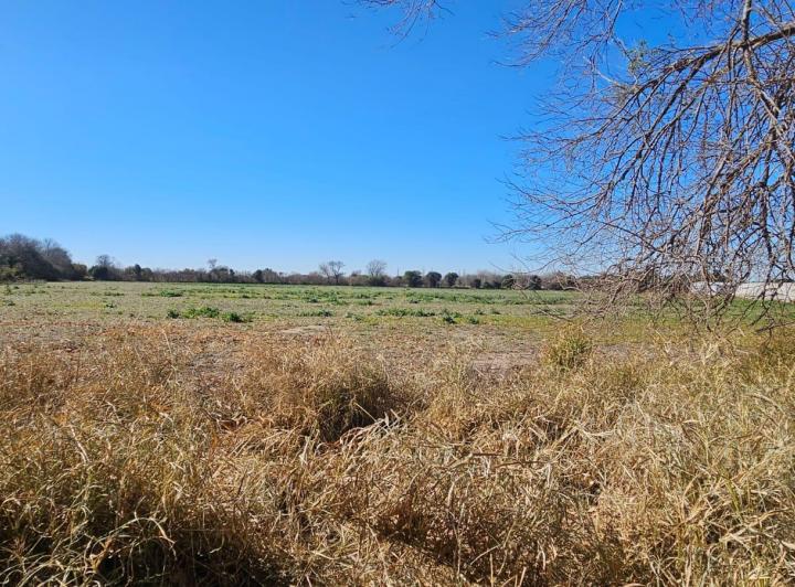 Lote en Colonia Caroya — Colonia Caroya, a 4 Cuadras del Supermercado "mami Dino¨. — Venta, foto 7 de 8