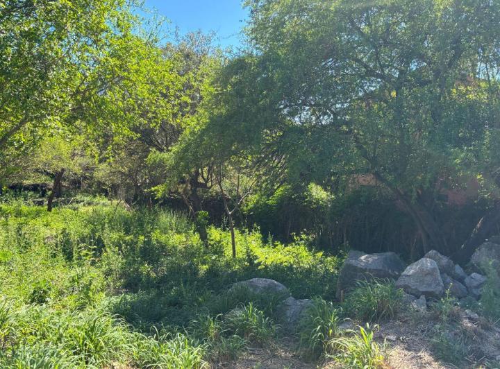 Lote en El Talar — Los Tilos 850 — Venta, foto 4 de 8