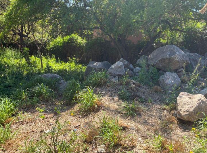 Lote en El Talar — Los Tilos 850 — Venta, foto 6 de 8