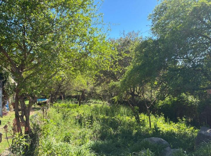 Lote en El Talar — Los Tilos 850 — Venta, foto 7 de 8