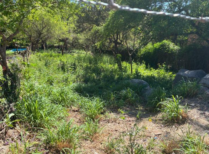 Lote en El Talar — Los Tilos 850 — Venta, foto 8 de 8