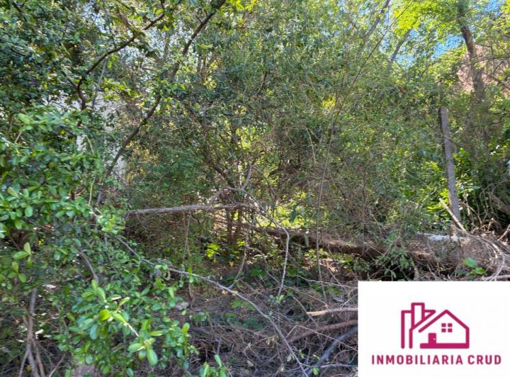 Lote en Villa Belgrano — Ernesto Abbe 5234 — Venta, foto 5 de 8