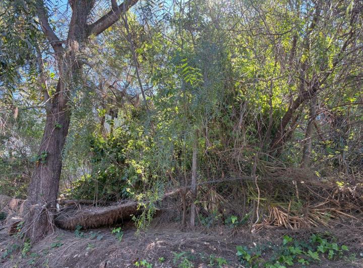 Lote en Villa Belgrano — Ernesto Abbe 5234 — Venta, foto 7 de 8