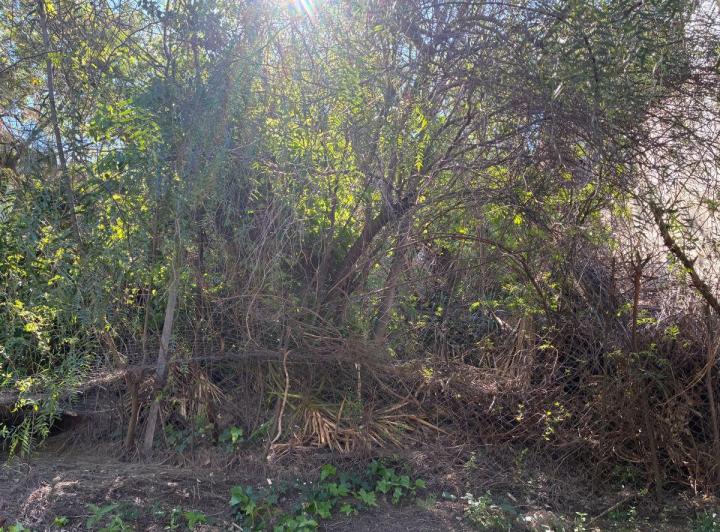 Lote en Villa Belgrano — Ernesto Abbe 5234 — Venta, foto 8 de 8