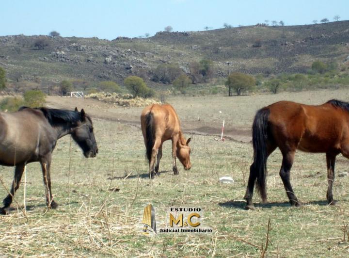 Lote en Ascochinga — Solares de la Higuerita — Venta, foto 5 de 8
