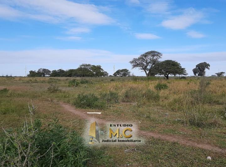 Terrenos industriales en Mi Granja — Mi Granja | Lotes Industriales sobre RN9 — Venta, foto 5 de 8