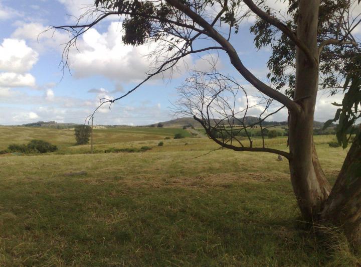 Lote en La Elena — Avenida Estrada — Venta, foto 1 de 8